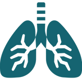 Lung Health icon